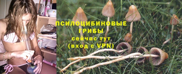 индика Зерноград