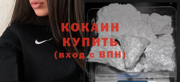 индика Зерноград