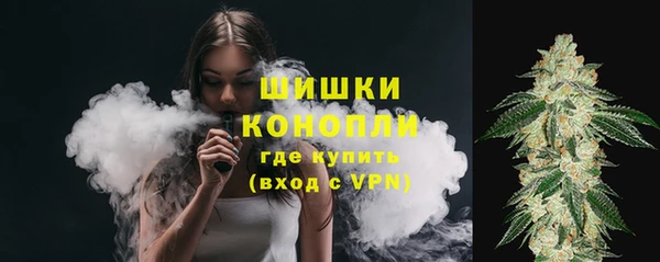 спиды Зеленокумск