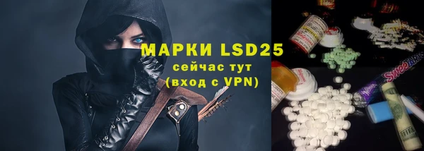 индика Зерноград