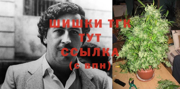 спиды Зеленокумск