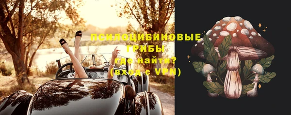 индика Зерноград