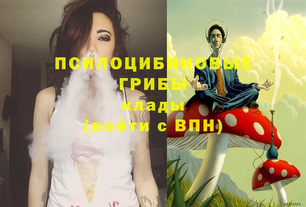 индика Зерноград