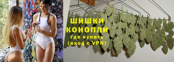шишки Зеленодольск