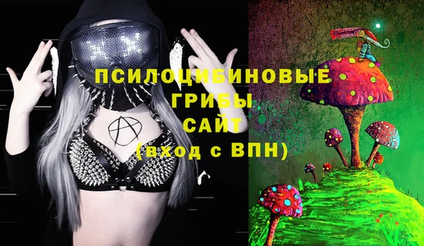 индика Зерноград