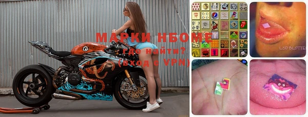 индика Зерноград