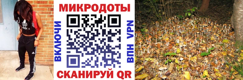 Псилоцибиновые грибы Psilocybine cubensis  Купить где  Вичуга 