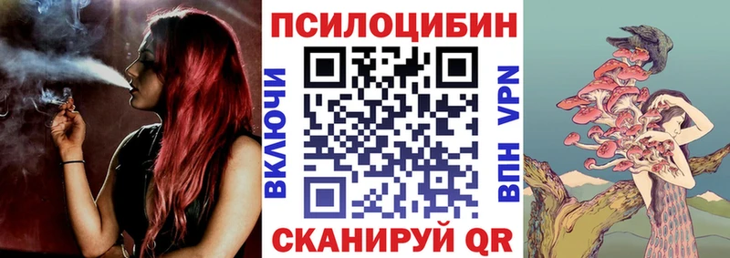 Псилоцибиновые грибы Psilocybine cubensis Вичуга